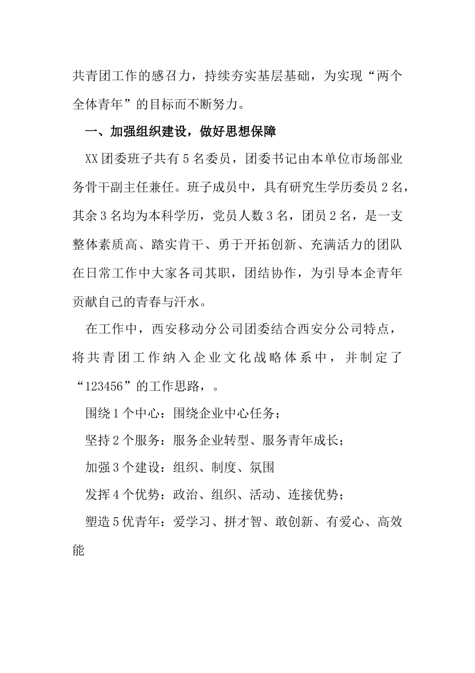  公司团委年终总结报告_第2页