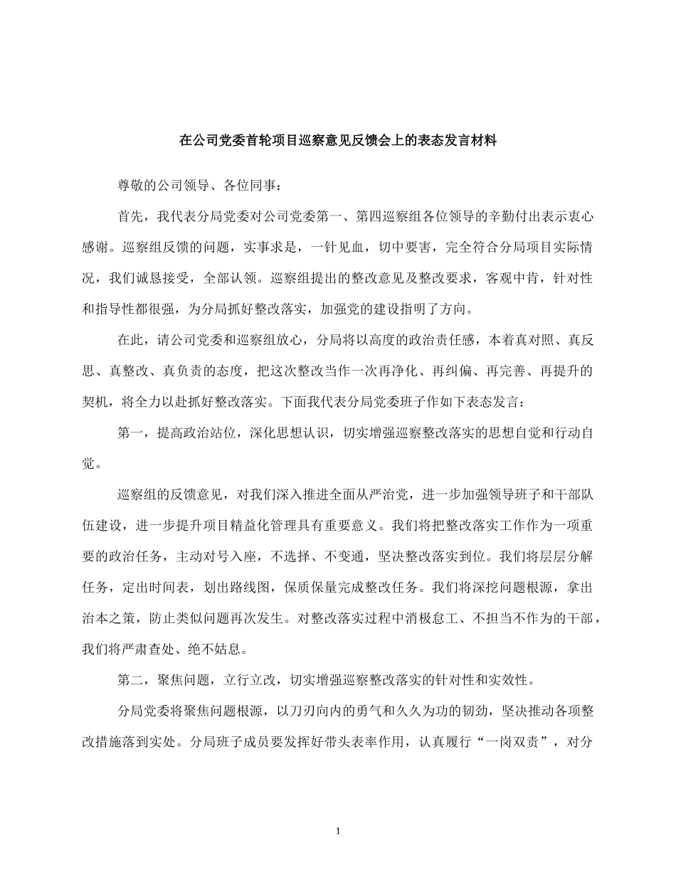 在公司党委首轮项目巡察意见反馈会上的表态发言材料_第1页