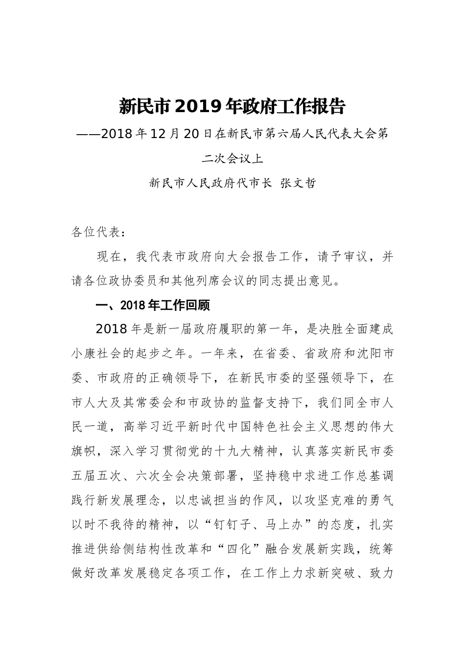 2019年新民市政府工作报告（全文）_第1页