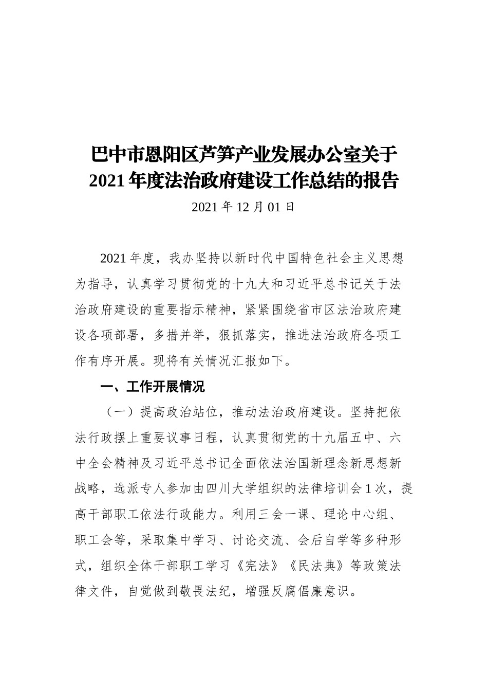 2021年法治政府工作总结汇编（20篇） (2)_第3页